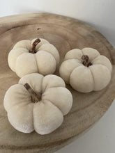 Load image into Gallery viewer, Velvet Pumkins -set of 3 - Winter Star Gifts 
