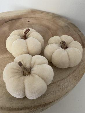 Velvet Pumkins -set of 3 - Winter Star Gifts 