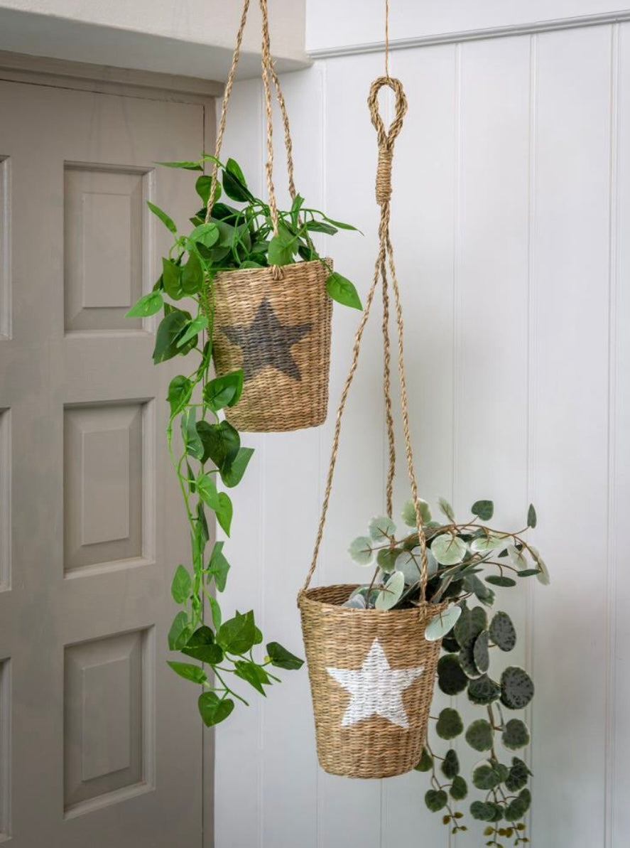 Sea grass Star hanging basket