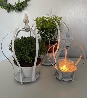 Set of 3 White Crown Planters - Winter Star Gifts 